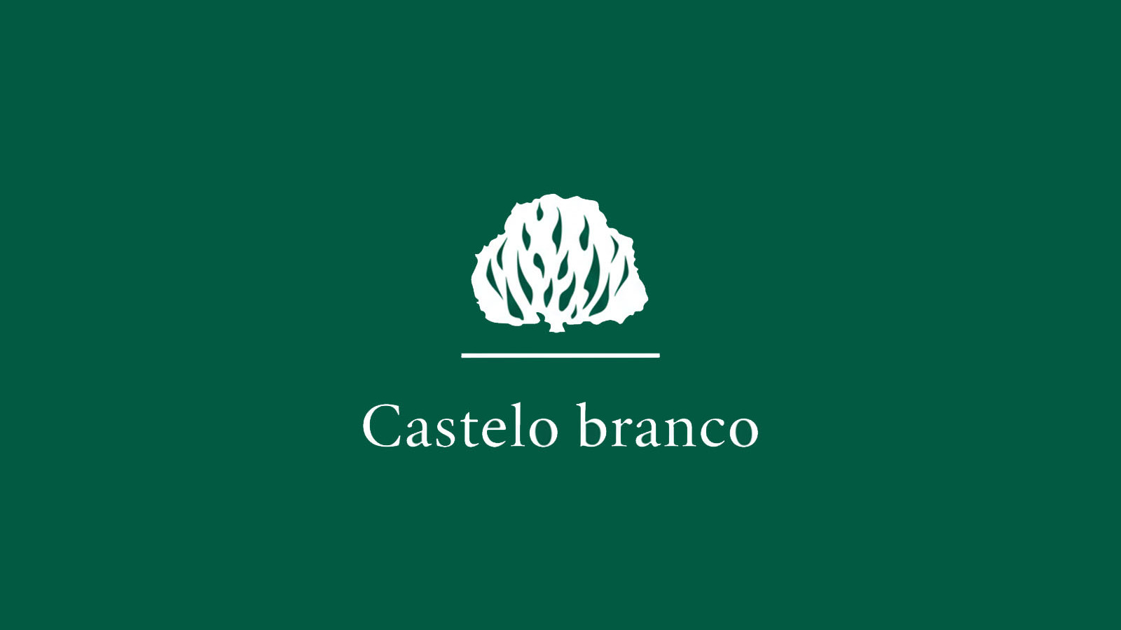 IPB Castelo Branco API
